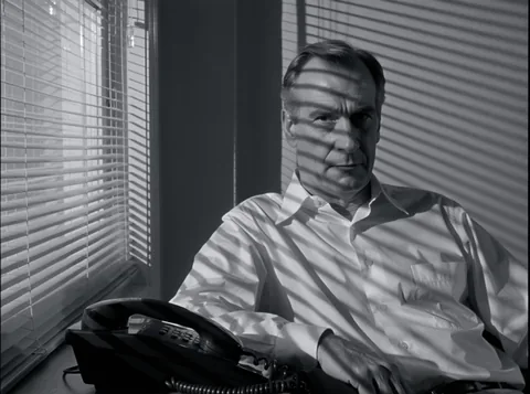 Black-and-white noir detective under venetian blinds